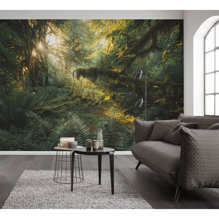 Komar Fotobehang Hall Of Mosses - Groen - 2,50m X 400cm
