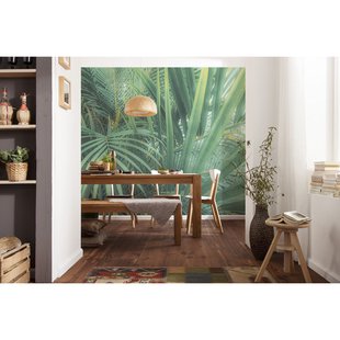 Komar Fotobehang Foggy Fern - Groen - 2,50m X 400cm