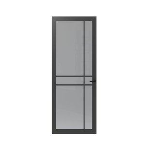 Cando Binnendeur Cover Glass Fe05 - Basalt Grey - Gelakt - Opdek - Rechts - 93x201,5cm