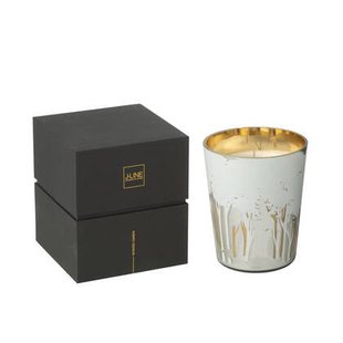 J-Line geurkaars Noa Bos - wit|goud - medium - 68U