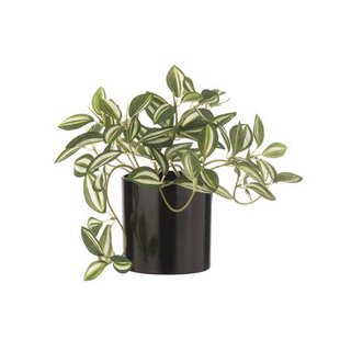 J-Line plant Tradescantia in pot - kunststof - groen|wit