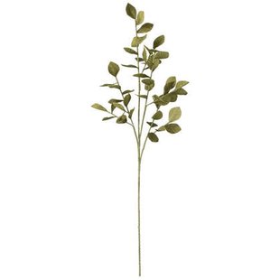 J-Line decoratie tak Bladeren Eva - kunststof - groen