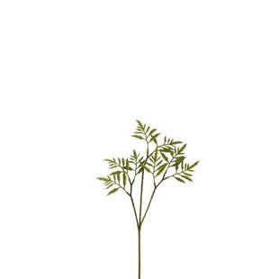 J-Line decoratie tak Varen Fijn - kunststof - groen - 36 stu
