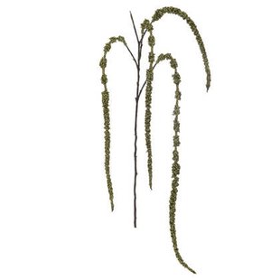 J-Line decoratie Tak Amaranthus - kunststof - donkergroen - 12 stuks