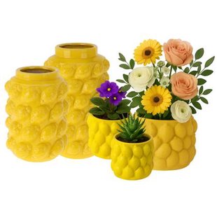 MISOU Citroenvaas 5 soorten Bloempot met Citroenen Citroenvaas Plan...