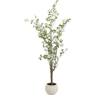 Decoratie plant Plumbago 152cm Kare Design
