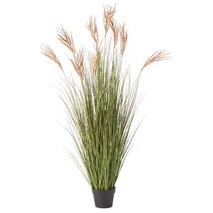 Beliani-CLAW FLOWER-Kunstplant-Groen|Bruin-150 cm-Synthetisch