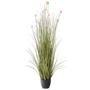 Beliani-POMPOM GRASS-Kunstplant-Groen|Bruin-120 cm-Synthetisch