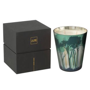 J-Line geurkaars Noa Bos - groen|goud - large - 95U