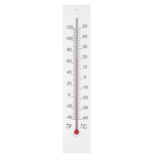 Ubbink Wandthermometer Van Plexiglas 21x4x0,8cm
