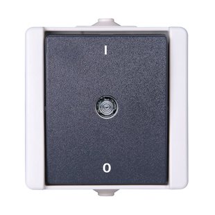 Baseline 2-poligeschakelaar Ip44 Grijs