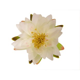 Ubbink Drijfbloem - Waterlelie - Crème - 16cm