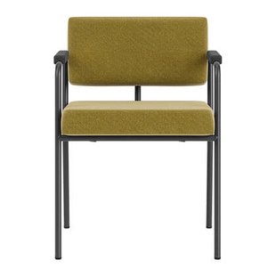 FÉST Monday Eetkamerstoel met Armleuning - Royal - Black / Pistache