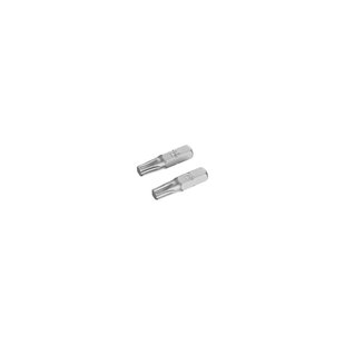 Stanley Schroefbits Sta61064-xj 25mm T30 2 Stuks