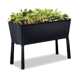 Keter Moestuinbak Easy Growing Zwart 114x49,3x75,7cm
