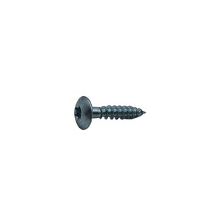 Sencys Spaanplaatschroef Gegalvaniseerd Cilinderkop Torx - 6x30mm - 8 Stuks