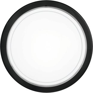 Eglo Plafondlamp Planet 1 Zwart ⌀29cm E27