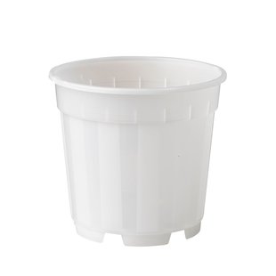 Nature Orchideeën Pot Transparant Ø12cm