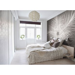 Komar Fotobehang Federstern