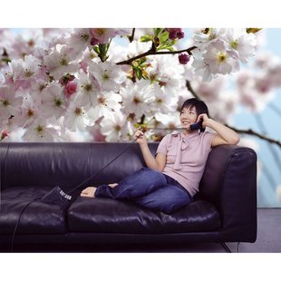 Komar Fotobehang Spring