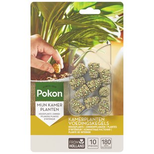 Pokon Kamerplanten Voedingskegels - 10st