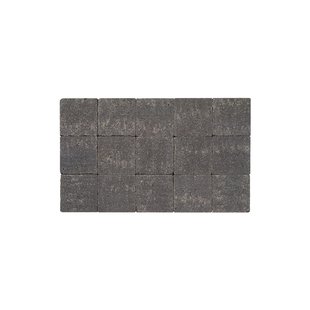 Cobo Buitentegel Garden - Zwart - Getrommeld - 15x15 Cm - 0,02 M²