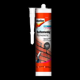 Alabastine Buitenvoegreparatie Donkergrijs 310 Ml