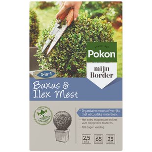Pokon Mest Buxus & Ilex 2500gr