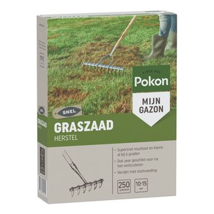 Pokon Graszaad Herstel 250gr