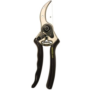 Hendrik Jan Snoeischaar Prof Papegaai - Aluminium - Staal - 20,5cm