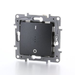 Legrand Dubbelpolige Inbouw Controleschakelaar Niloé Antraciet