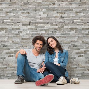 Dumaplast Wandbekleding Dumapan Smp Vallodolid Grijs 37,5x260cm