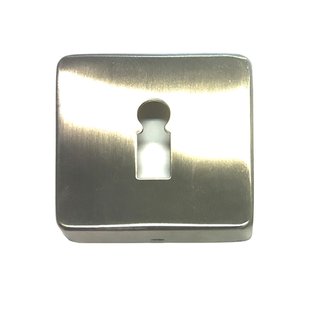 Avenue Sleutelplaat Vierkant Rvs 2st.