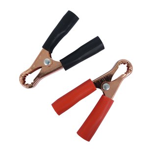 Carpoint Accuklemmenset Jis/din 7-22mm 2 Stuks