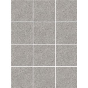 Fossiel Wandtegel - Grijs - Glanzend - 10x10 Cm - 0,50 M²