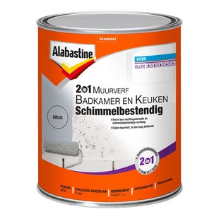 Alabastine 2in1 Muurverf Badkamer En Keuken Grijs 1 L