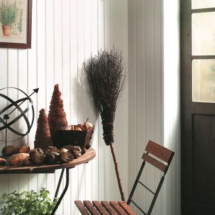 Dumaplast Wandbekleding Dumapan Wit 10x260cm