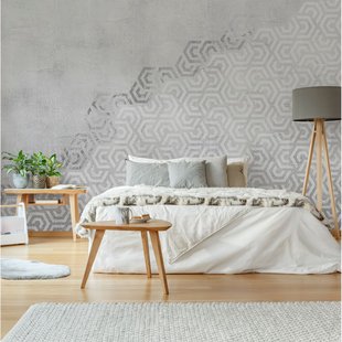 Fotobehang Grafisch 14194 - Grijs - 2,70m X 300cm