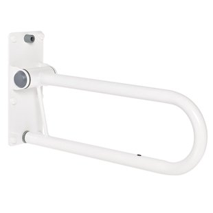 Ridder Toiletbeugel Tim Kort 55cm Opklapbaar Staal