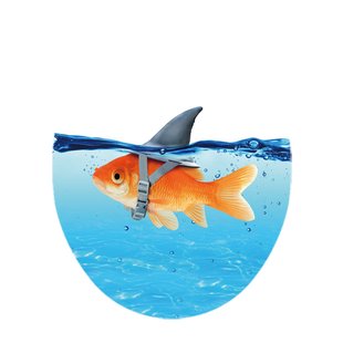 Aquavive Wc-bril - Duroplast - Softclose - Verstelbaar - Met Vissenprint