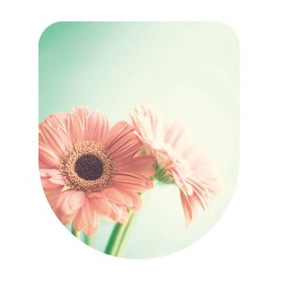 Aquazuro Wc-bril - Duroplast - D-vorm - Softclose - Verstelbaar - Quick Release - Met Bloemenprint