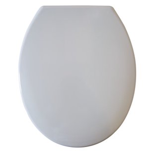 Aquavive Wc-bril Tarnos - Duroplast - Softclose - Verstelbaar - Quick Release - Wit