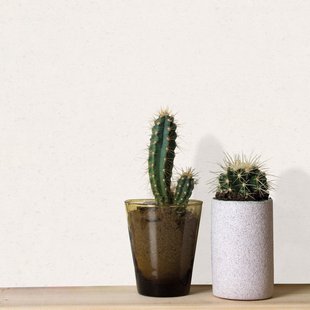 Sencys Overschilderbaar Vliesbehang Rauhvlies - Grijs - 15,00m X 53cm