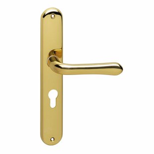 Intersteel Deurkruk Op Schild Saturnus - Messing - Gelakt - Cilindergat - Afstand 55 Mm