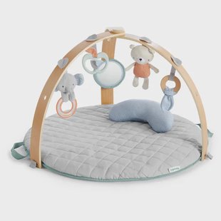 Ingenuity Cozy Spot babygym