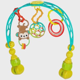 Bright Starts Flex'N Go activity arch