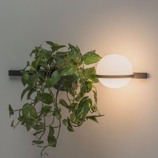 Palma 3702 wandlamp, plantenbak, grafiet Vibia - Woonkamer - Modern - Metaal