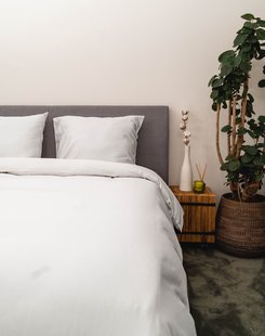 Kayori - Aya - Dekbedovertrek - Zijde - 200/200-220 - Zilvergrijs