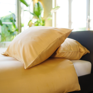 Daiki - kussensloop - 2 stuks - 60x70 - Goud