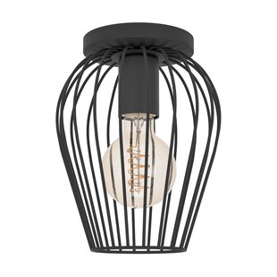 Eglo Plafondlamp Newton Zwart ⌀16cm E27